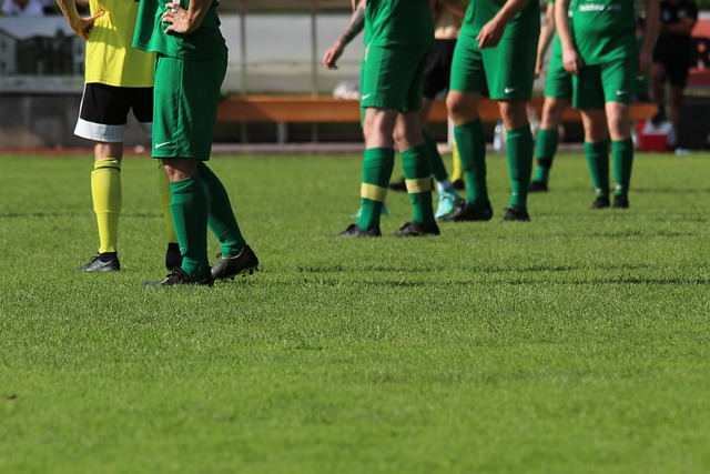 得了胜利 得了胜利