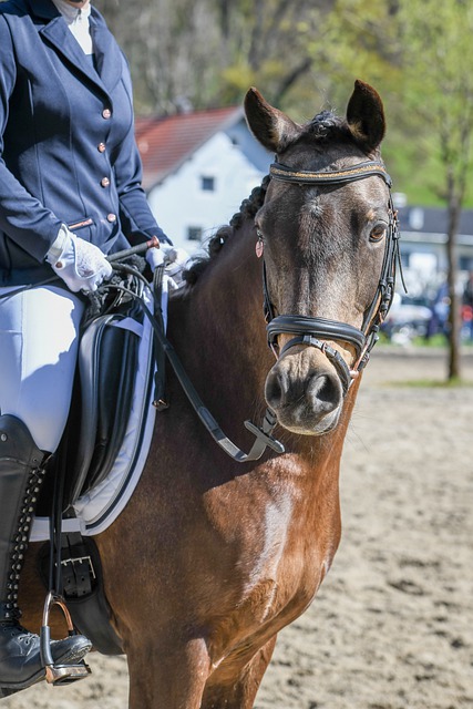 仅为我们揭 仅为我们揭