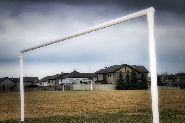 明星球员的 明星球员的