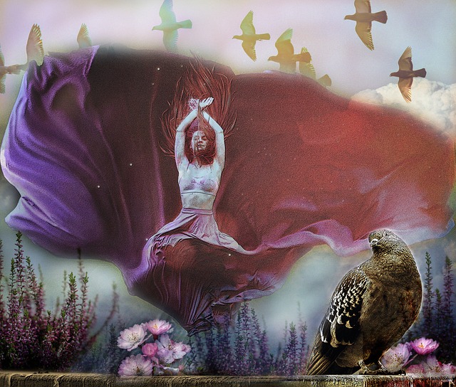 参赛球队通 参赛球队通