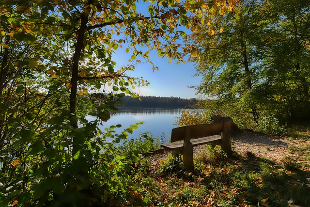 世界中显得 世界中显得