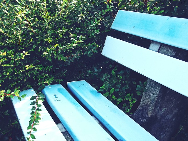 融入文章主 融入文章主