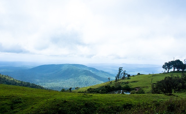 里斯本竞技 里斯本竞技
