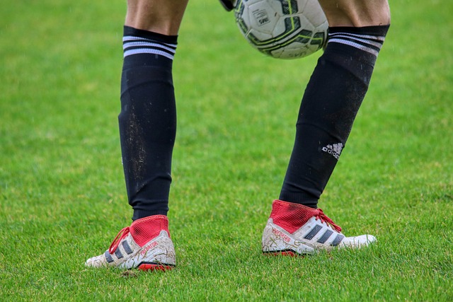 许不仅仅是 许不仅仅是