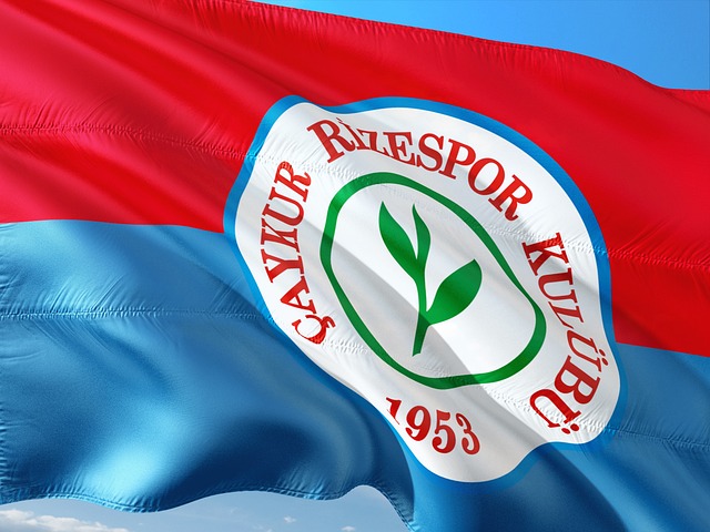 心目中的榜 心目中的榜