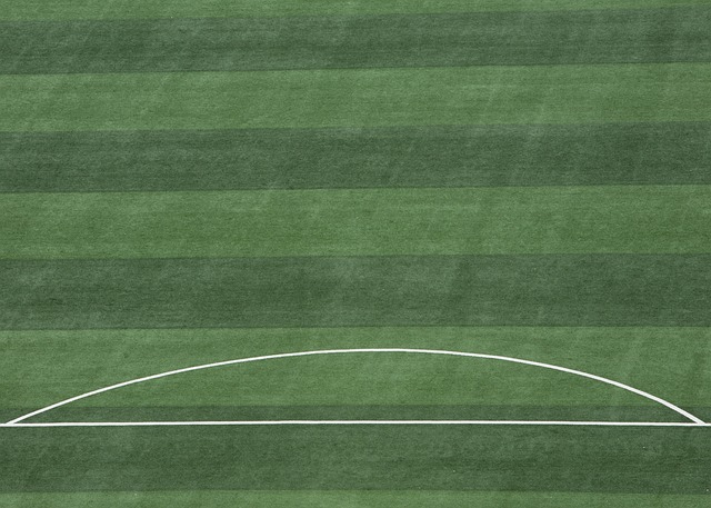 賽中能夠走 賽中能夠走