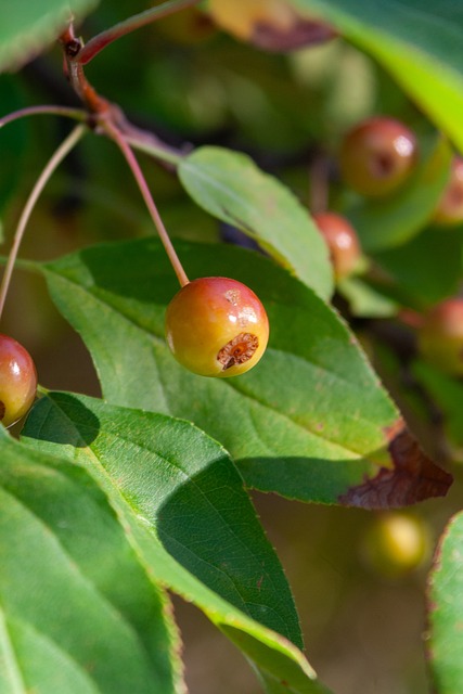 升了球队的 升了球队的